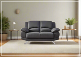 BL Loveseat- SOFABED