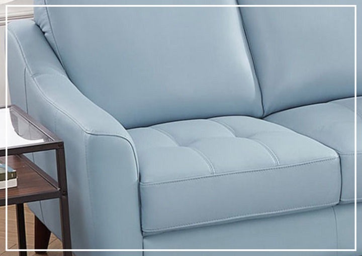 Hydeline Ersa Premium Leather Loveseat Sofa with Soft Slope Arms