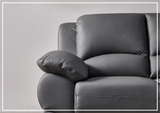 BL Loveseat- SOFABED