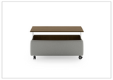 Functional Coffee Table with Casters