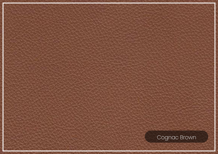 Hydeline Bella Brown Leather U-Shaped Sectional Sofa with Reversible Chaise