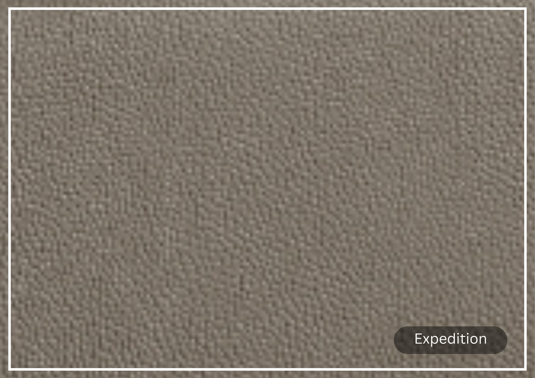 Gio Italia Paris Leather Sleeper Sofa-Sofabed