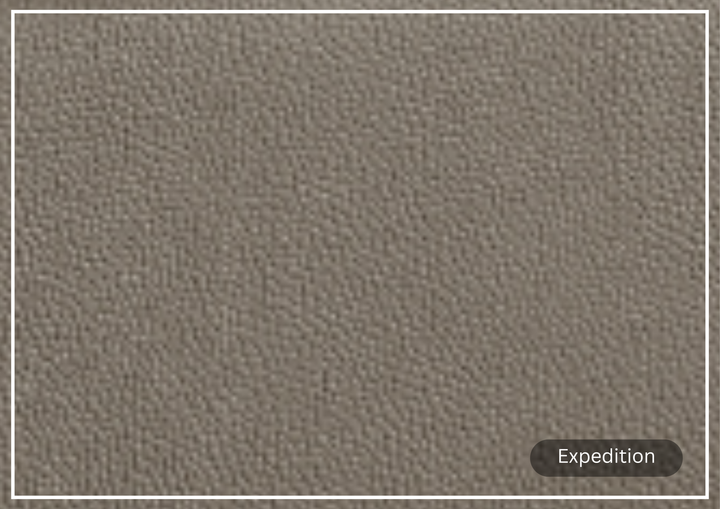 Gio Italia Paris Leather Sleeper Sofa