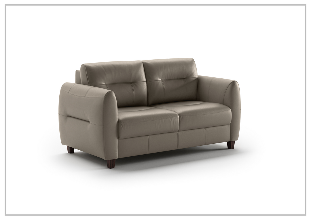 Luonto Jamie 2-Seater Leather Loveseat Sleeper (Queen Size)