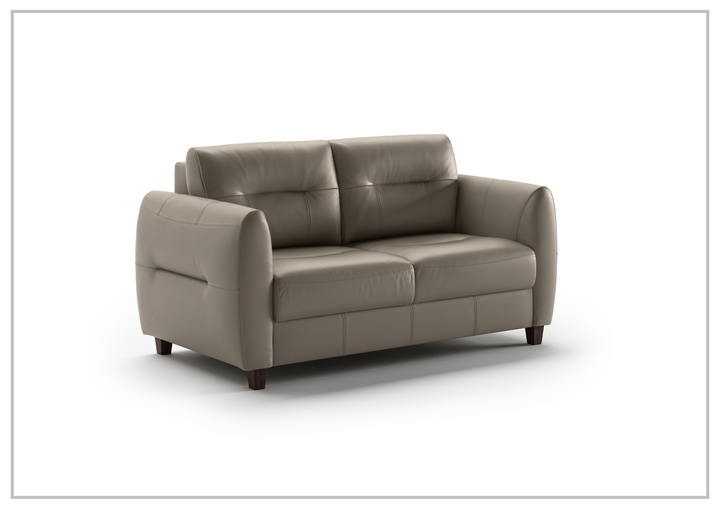 Luonto Jamie 2-Seater Leather Loveseat Sleeper (Queen Size)