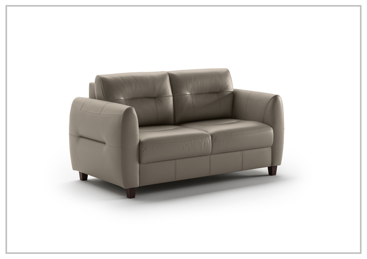 Jamie 2-Seater Leather Loveseat Sleeper (Queen Size)