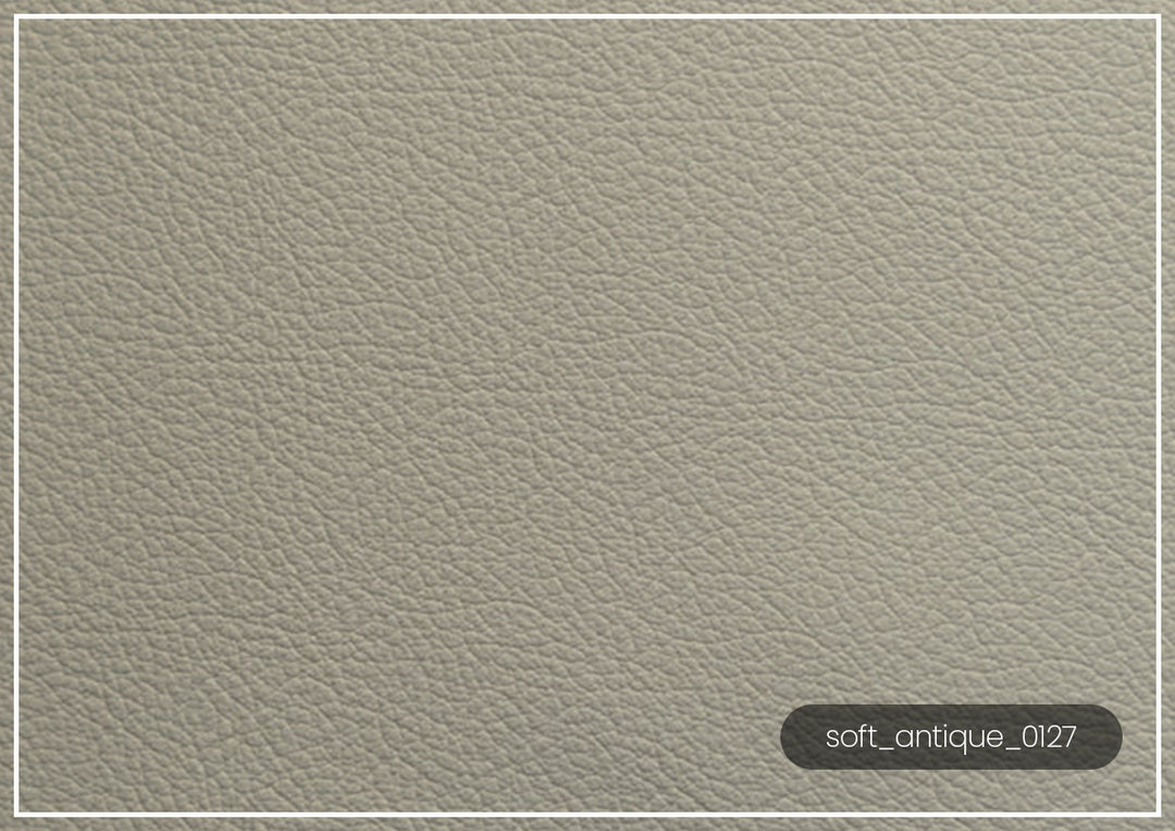 Luonto Jamie 2-Seater Leather Loveseat Sleeper (Queen Size)