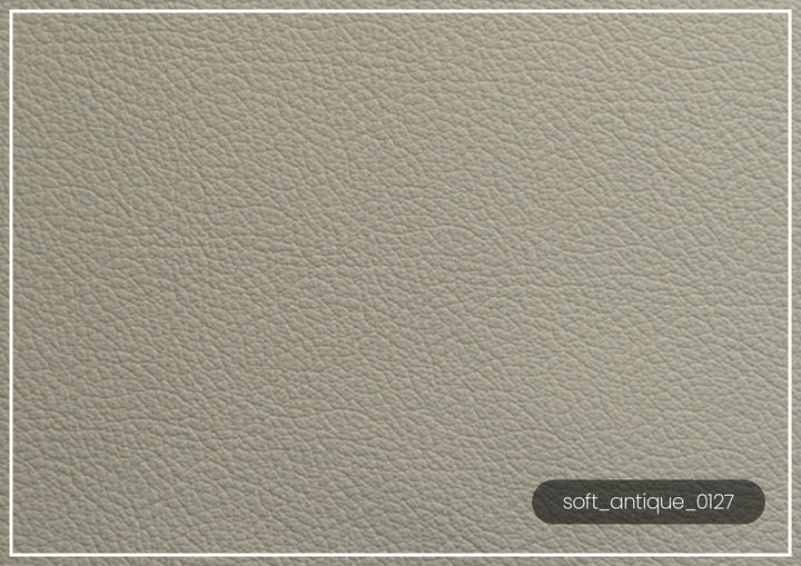 Luonto Jamie 2-Seater Leather Loveseat Sleeper (Queen Size)