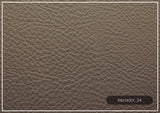 Luonto Jamie 2-Seater Leather Loveseat Sleeper (Queen Size)