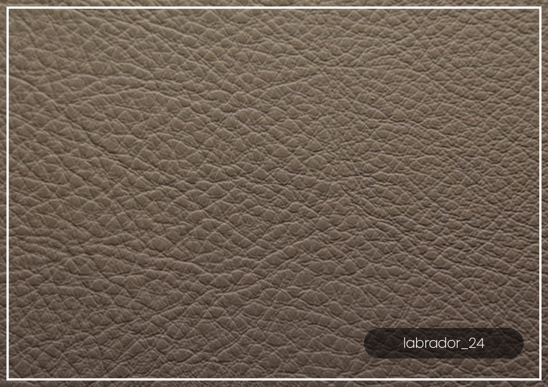 Luonto Jamie 2-Seater Leather Loveseat Sleeper (Queen Size)