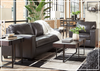 Mayan Queen Gray and Chocolate Leather Sleeper Sofa