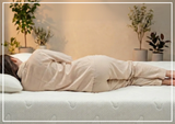 Puffy Cloud All-Foam Medium-Plush Mattress - SOFABED