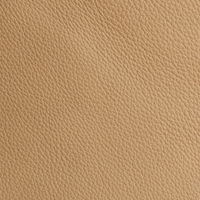 AL 552 Tan