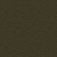 AL 555 Martini Olive