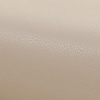 Aspen Beige