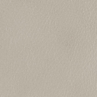 Beige 352