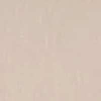 Beige19