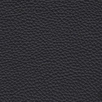 Black NS831