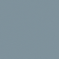 Blue 19