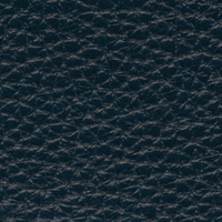 Blue 20239