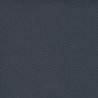 Blue N195