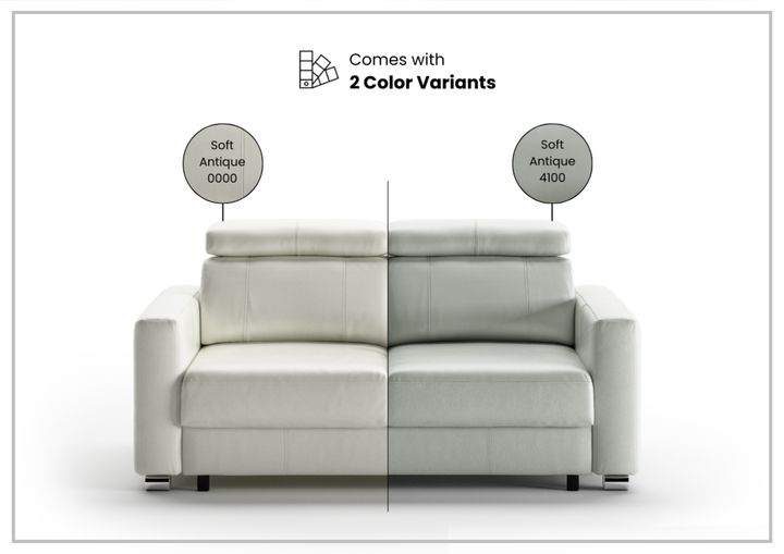 Luonto West Level 2-Seater Queen Loveseat Sleeper