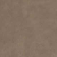 Brown 1670