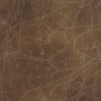 Brown 67
