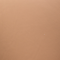 Brown NS102