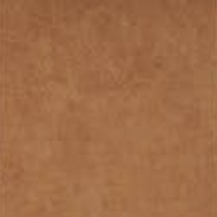 Brown41