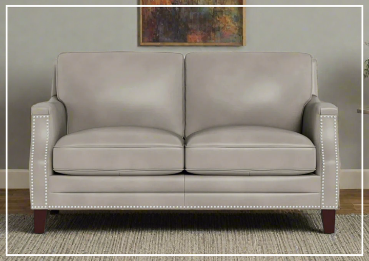 Hydeline Camano Stationary Brown Premium Leather Loveseat Sofa
