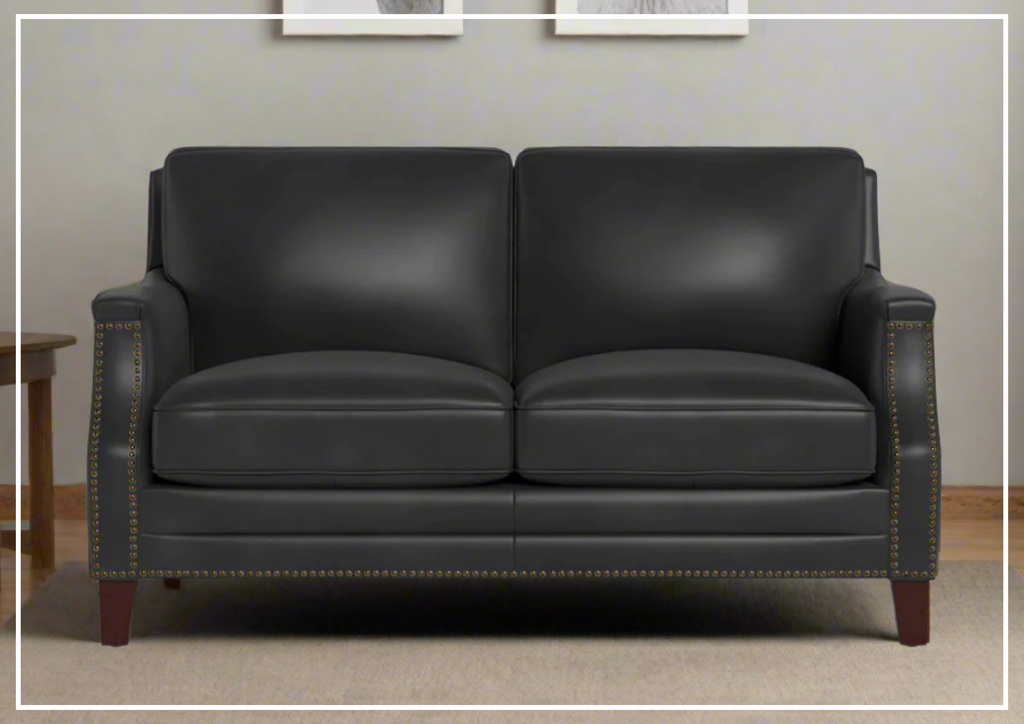 Hydeline Camano Stationary Brown Premium Leather Loveseat Sofa