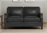 Hydeline Camano Stationary Brown Premium Leather Loveseat Sofa