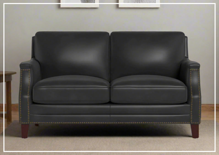 Hydeline Camano Stationary Brown Premium Leather Loveseat Sofa