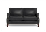 Hydeline Camano Stationary Brown Premium Leather Loveseat Sofa
