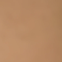 Camel Brown 45