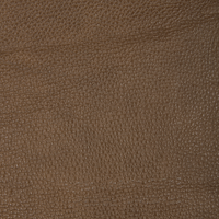 Camel M1237