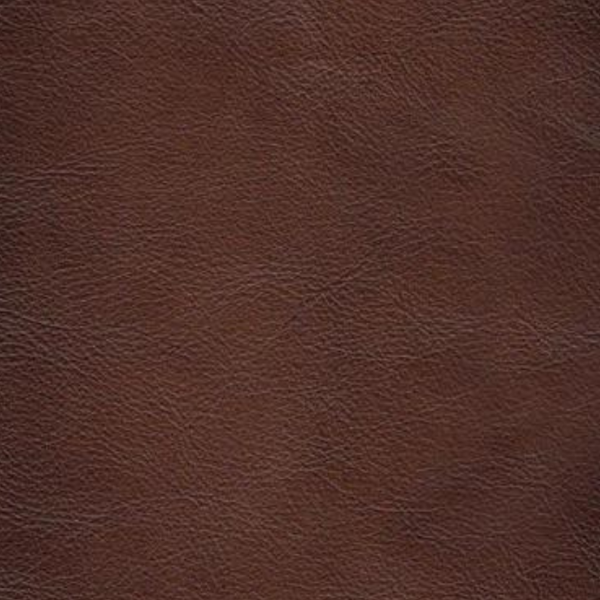Hydeline Belfast Brown Premium Leather 3-Seater Sofa with Nailhead Trim