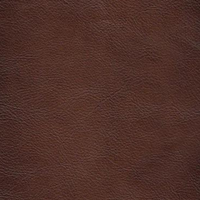 Caramel Brown 1