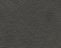 Carbon Gray