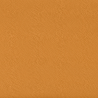 Chestnut Orange01