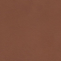 Cognac Brown