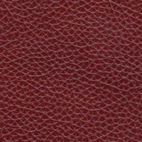 Cranberry Red