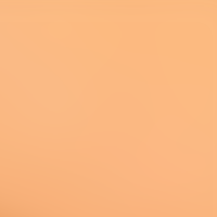 Flamenco Orange