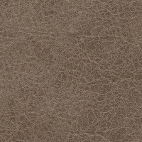Fossil