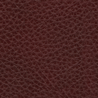 Garnet Red