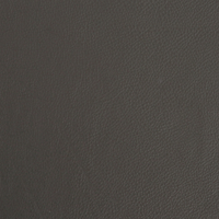 Graphite 547