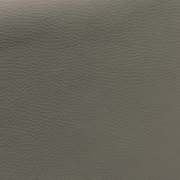 Gray NS103