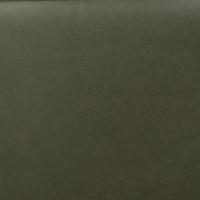 Green 80
