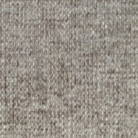 Guard Taupe